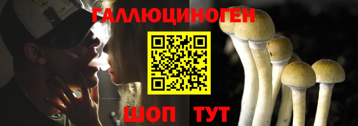 Кинешма  где продают   Вход с VPN  Псилоцибиновые грибы мухоморы 